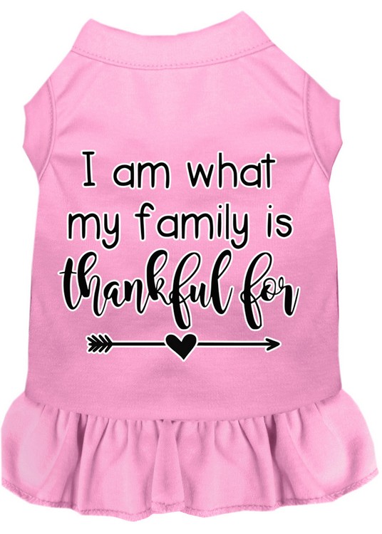 I Am What My Family is Thankful For Screen Print Dog Dress Light Pink XXXL